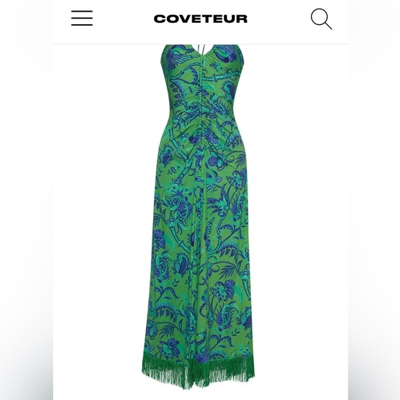 Cara Cara shelter island fringe dress - Picture 2 of 3